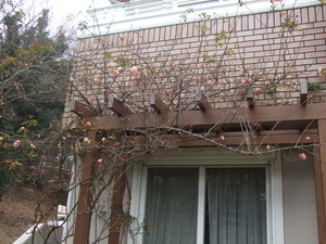 2012_0117����0001