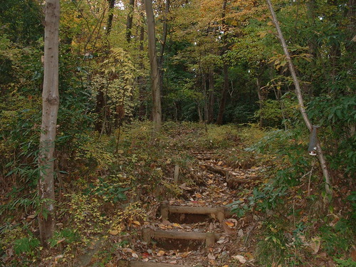 2007_1202Ƴλºµ¢¤êGH0003