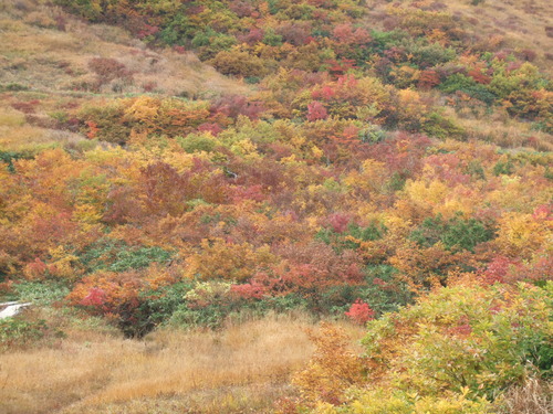 2007_1017��������0051