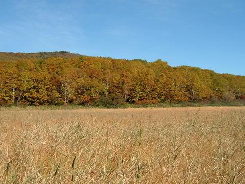DSCF0033