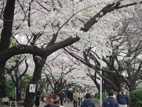 2008_0402H19��0083