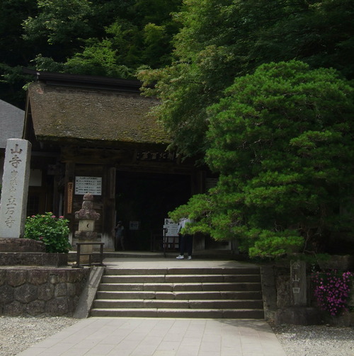 DSCF0637