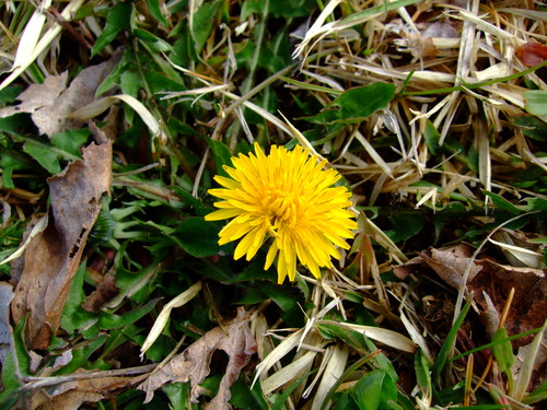 2007_0509¿®½£0097