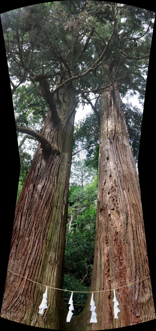 IMG_1228_stitch(1)