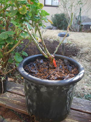 2010_0119�Ф��?Ȣ0002