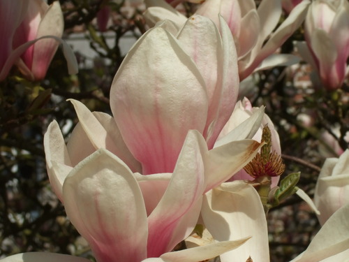 2007_0417オランダ0385