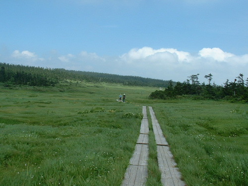 DSCF0031