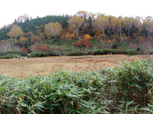 2007_1017��������0187