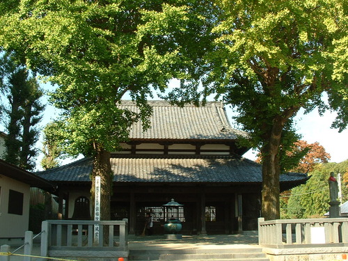 2007_1004¾®Åĸ¶ÈͶ£²0045