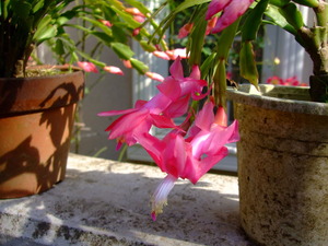 2010_1201���β�0004