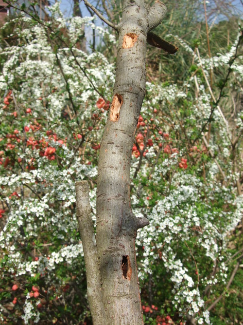 2013_0321˭��0004