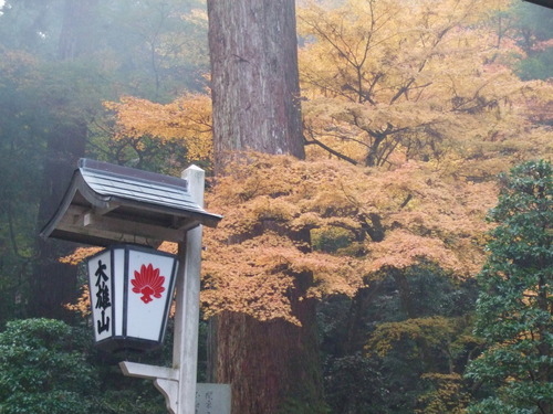 2007_1202¹ä»Ë¾»»Òº§Ìó0077