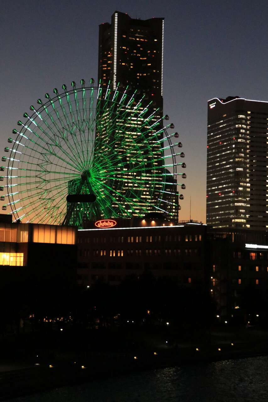 びいなすクルーズ6 横浜みなとみらい夜景 花咲かすおじさん びいなすクルーズ6 横浜みなとみらい夜景 花咲かすおじさん