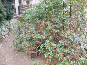 2012_0117����0002