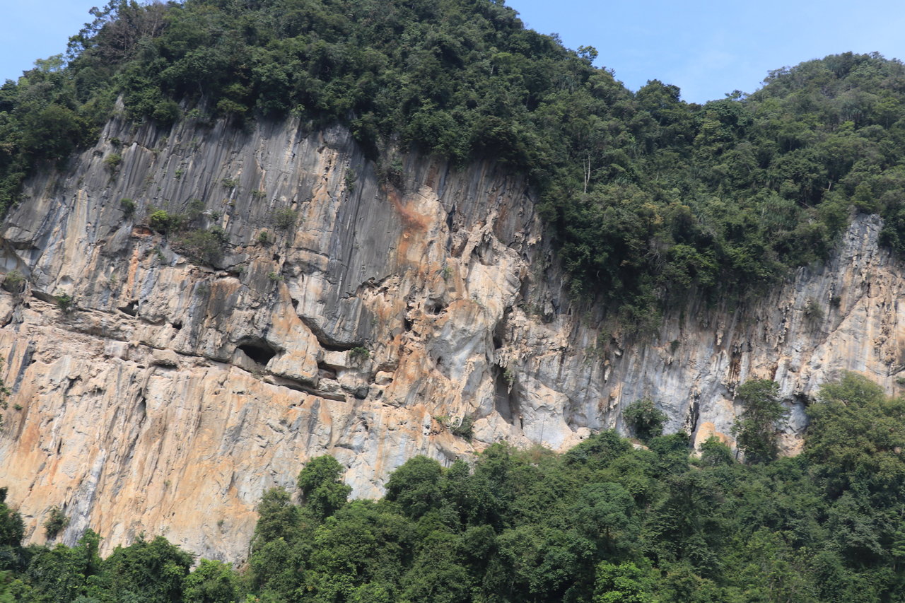 マレーシア ３ イポー１ ポメロフルーツファーム 花咲かすおじさん