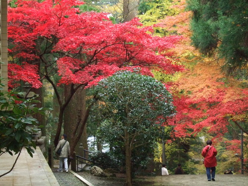 2007_1202¹ä»Ë¾»»Òº§Ìó0116