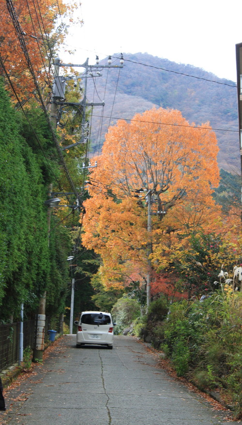 IMG_9132
