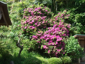 2012_0513河村城0021