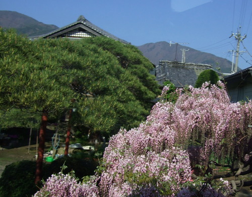 2007_0509¿®½£0154