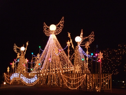 2007_1211�ǥ��ˡ�����0101