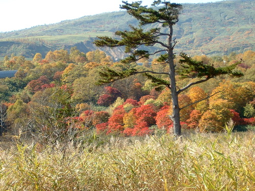 DSCF0042