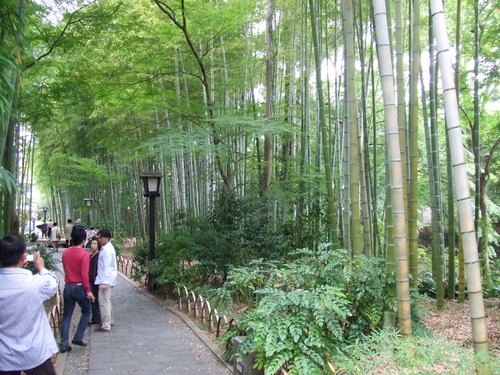 2006_1027西伊豆0017
