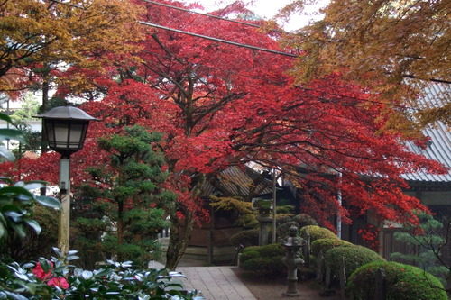 2007_1202¹ä»Ë¾»»Òº§Ìó0109