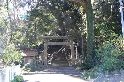 IMG_1026(1)