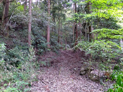 IMG_20200512_162421_BEAUTY