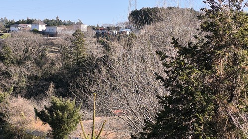 IMG_20260111_132047