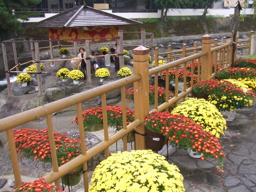 2006_1027西伊豆0021