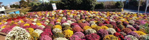 1604973600958_stitch