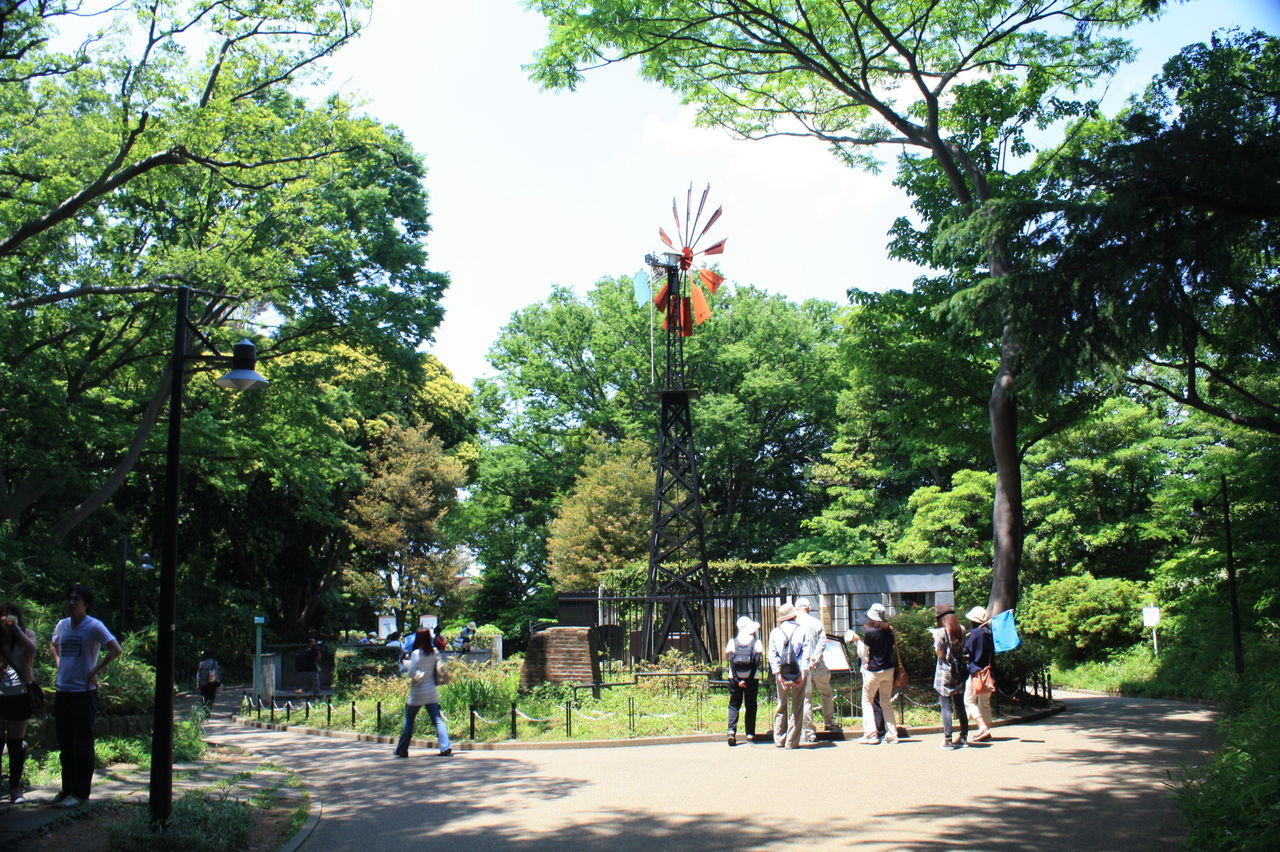横浜 大人の休日散歩道ー１７ フランス山 花咲かすおじさん