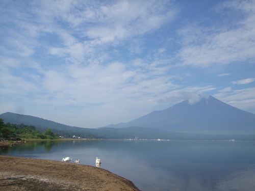 DSCF0981