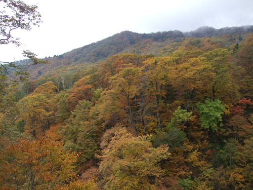 2007_1017��������0198