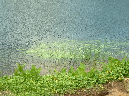 DSCF0041