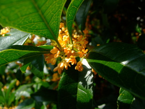 2011_1003�뤫��0009