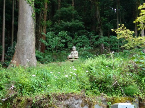 IMG_20200512_161601_BEAUTY