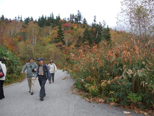 2007_1017��������0125