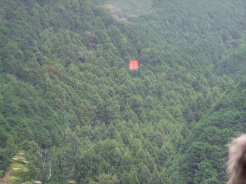 2010_0928南紀0048