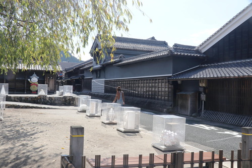 IMG_2078-ʤ���Ƥ�(1)