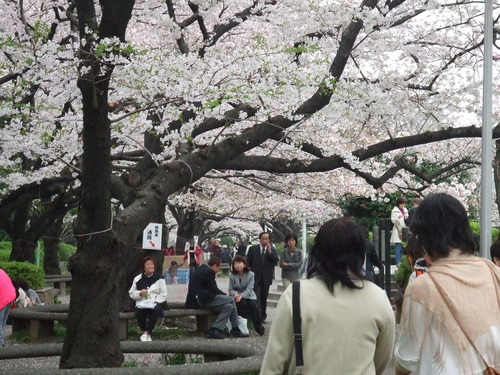 2008_0402H19��0080