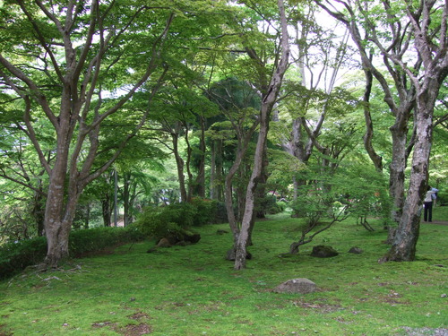2008_0515���Υۥƥ�ĤĤ�0042