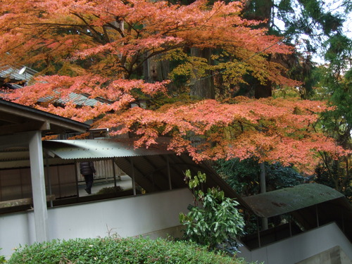 2007_1202¹ä»Ë¾»»Òº§Ìó0096