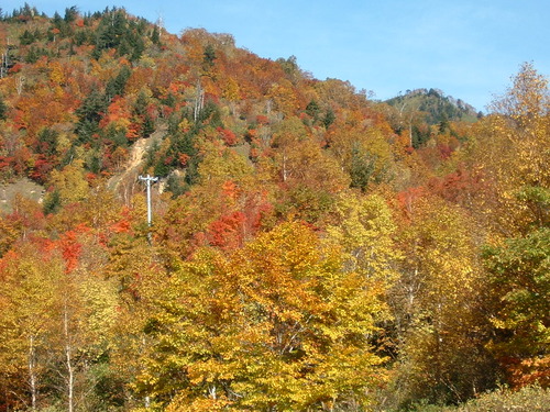 DSCF0009