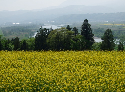 2007_0509¿®½£0138