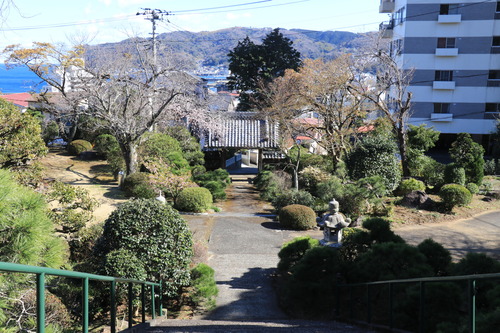 IMG_1015(1)