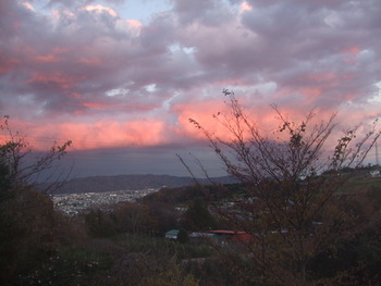 2011_1217ͼ�Ƥ�0003