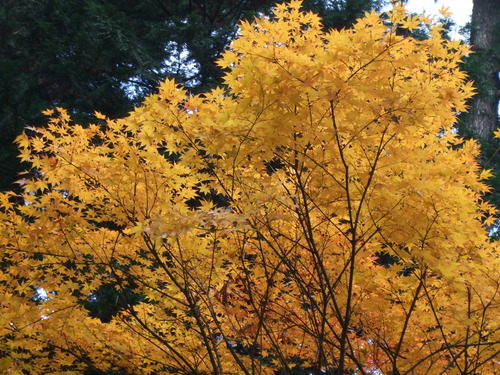 2007_1202¹ä»Ë¾»»Òº§Ìó0133