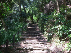 2012_0513河村城0036